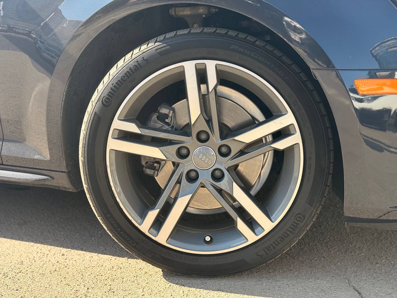 photo_2026-04-15_16-09-51